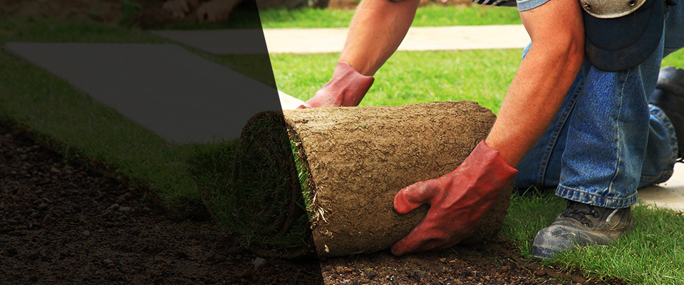 Port Angeles Landscapers